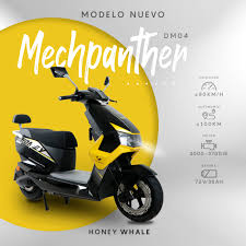 Producto Honey Whale